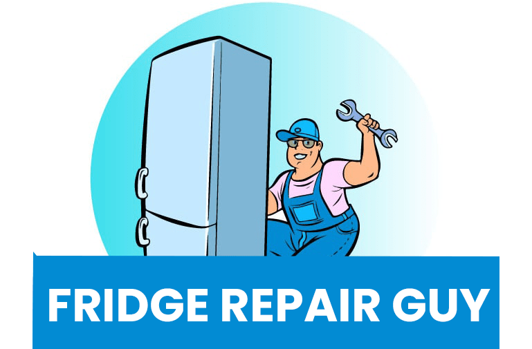 Fridge repair guy